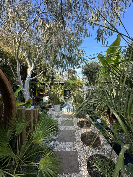 D & S Haus